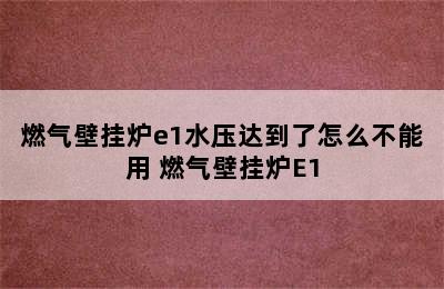 燃气壁挂炉e1水压达到了怎么不能用 燃气壁挂炉E1